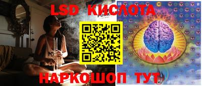 стаф Пенза