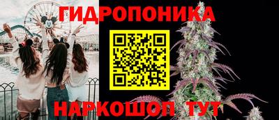 стаф Пенза