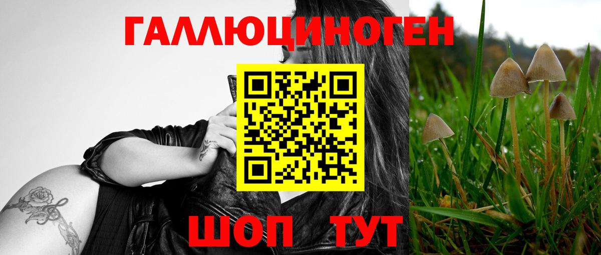 Саров  Псилоцибиновые грибы Psilocybe  Псилоцибиновые грибы GOLDEN TEACHER  Вход с VPN 